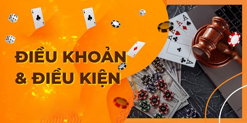dieu-kien-dieu-khoan-vin777-quy-dinh-cho-hoi-vien-6
